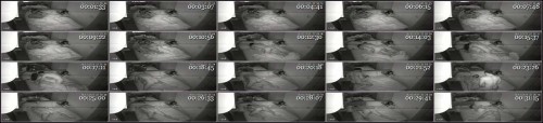 Hacked-Home-Cameras-4-4.jpg