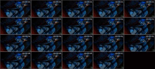 Collection-From-Lazy-Procrastinator-2.jpg