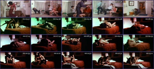 Night-of-The-Animals-3.jpg