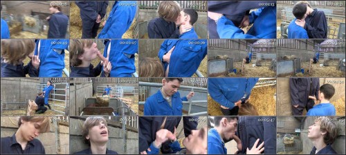 Husky-Guys-3.jpg